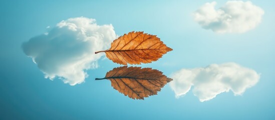 Poster - Lonely orange leaf floating on calm blue water, reflecting fluffy white clouds in a serene sky, capturing tranquility and nature's beauty.