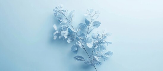 Poster - Delicate blue pastel floral arrangement on soft background, featuring light leaves and blossoms in an elegant top view perspective.