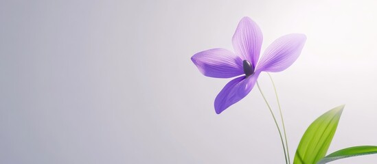 Aufkleber - Delicate purple flower with soft petals positioned on the right, set against a light gray background, highlighting simplicity and elegance.