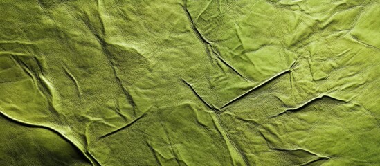 Leinwandbilder - Textured rustic lime leather background in shades of green with creases offers ample space for design and creative text placement.