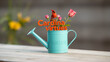 © Zachary - Cardinal virtues helps achieve success - pictured as word Cardinal virtues on a watering can to show that it makes success to grow and it is essential for profit in life, 3d illustration