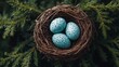 © MKS - Detailed images of bird nests highlight the intricate artistry of twigs, leaves, and feathers, revealing small eggs and attentive parent birds in a caring environment
