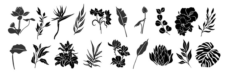 Set of black silhouettes of tropical leaves, flowers. Hand drawn elegant exotic eucalyptus, monstera leaves, lotus, birth of paradise, magnolia, hibiscus flowers. Trendy botanical vector isolated.