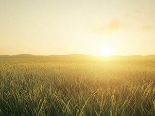 Wall Mural - golden hour illuminates a serene grassland landscape, full of peace