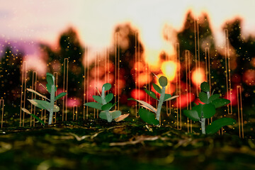 Wall Mural - A group of small plants are growing in a field with a sunset in the background