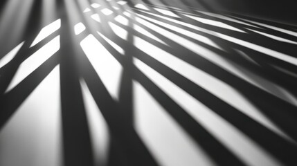 Wall Mural - high contrast shadows with dramatic lighting effects