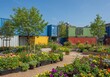 © Alper AI - Repurposed shipping containers as plant nurseries in an urban park showcasing sustainable city greenery