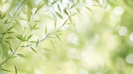 Wall Mural - soft organic transitions of light and color background