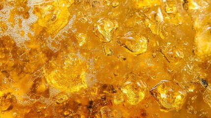 Wall Mural - bright water drops on glass in morning light