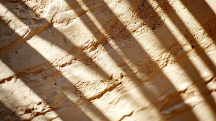 Wall Mural - shadows play on textured wall in diffused light