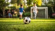 © musa - Backyard Soccer Game