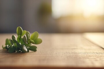 Poster - Close-up view of delicate plant leaves and stems on a weathered wooden shelf, illuminated by soft lighting that enhances the serene atmosphere in the space