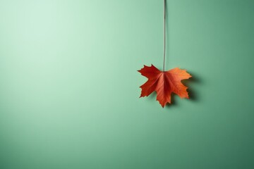 Leinwandbilder - Single maple leaf with vibrant autumn colors is placed on soft green background, creating a pleasing contrast and inviting natural aesthetic