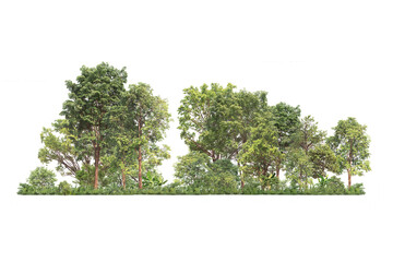 Wall Mural - group of tree. green treeline isolated on white backgroundand charity. png file.