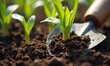 © arthur - Close-up of gardening tools with spring seedlings, rich textures, natural light