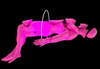 Poster - Futuristic fragmented pink human figure on a black background. A white ring crosses her torso, creating a surreal digital art effect.