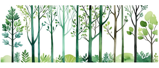 Watercolor Forest Illustration with Green Trees and Foliage on White