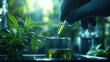 © Nurul - Scientist adding liquid to cannabis extract in lab