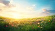 © Biancaart - Wildflower Meadow at Sunset Glowing with Light and a Blue Sky