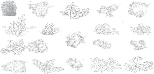 set of shrubs line cad, minimal isolated on white background.