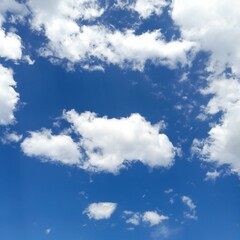 Wall Mural - a partly cloudy sky. 