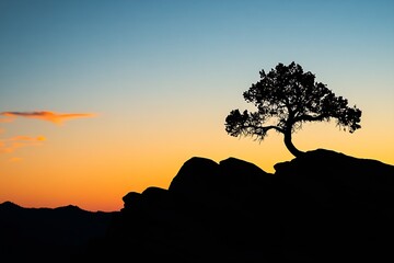 Poster - Stunning silhouette of a solitary tree against a vibrant sunset sky on rocky hillside : Generative AI