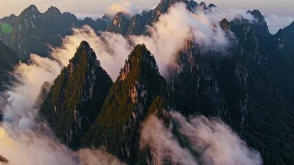 Wall Mural - Misty mountain peaks covered with lush greenery at sunrise. Serene nature landscape