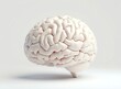 © kengkreingkrai - an image of a white brain model on a white surface, there is a white brain model on a white surface