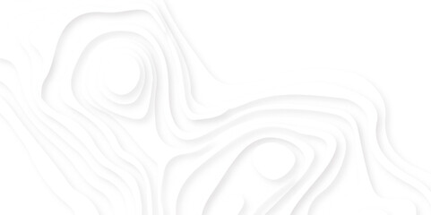 Wall Mural - white paper cut decoration textured with wavy layers 3d topography relief background. abstract wavy 