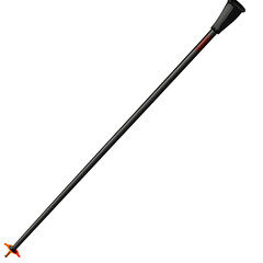 Wall Mural - ski pole cartoon isolated on white background full depth of field