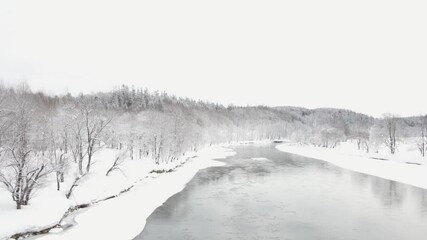 Wall Mural - river flowing through cold snowy countryside in winter landscape in hokkaido, japan