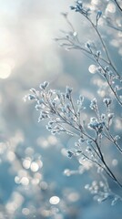 Aufkleber - Delicate frozen branches shining in an ethereal icy gradient background during winter's early morning light