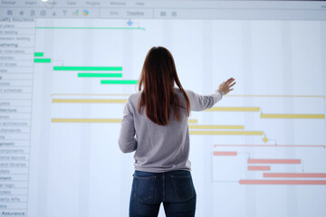 Poster - Busy Businesswoman Balances Digital Agenda