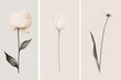 © phy - vertical posters featuring delicate full color flowers drawn in smoky line art style, each poster highlighting a single bloom like a rose, tulip, and daisy, with soft neutral backgrounds.
