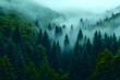 © wahyu - Misty Forest Landscape View