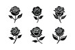 © tanbirmiah - Set of Rose flower vector illustration.