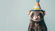 © AnasTruba - Ferret dressed in a colorful party hat with an adorable expression, ready for a fun celebration. Adopt a Ferret Month