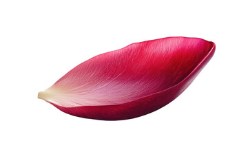 Wall Mural - This image presents a single, isolated flower petal with rich colors and textured details, on a transparent background.