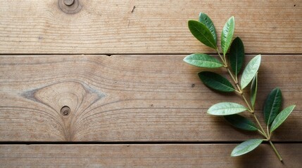 Aufkleber - Serene sprig of vibrant green leaves gracefully arranged on a rustic wooden surface, creating a tranquil and natural scene ideal for various design applications.