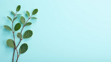 Poster - Serene Green Branches on a Light Blue Background, Perfect for Minimalist Designs and Nature-Inspired Projects