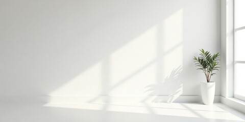 Aufkleber - Minimalist Interior Scene Sunlight Illuminates a White Room with a Potted Plant