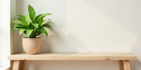 Fototapete - Serene Minimalist Interior Design A Light Beige Potted Plant on a Simple Wooden Shelf Against a Neutral Wall