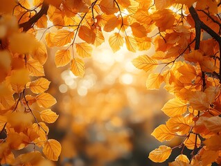 Wall Mural - glowing autumn fog drifting through a golden forest landscape