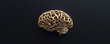 © Mariko - Golden Human Brain. Genius Mind, Brilliant Idea, Brainstorm, Business Success, Smart Investment. Learning, Planning, Research, Analysis, Cognition. Talent, Expert Knowledge, Solution, Innovation