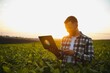 © Serhii - Young handsome agriculture engineer squatting in soybean field with laptop in hands in early summer