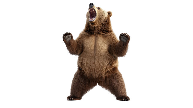 Roaring Grizzly: A powerful grizzly bear stands upright, roaring with its mouth wide open, capturing a moment of untamed wilderness and raw animal behavior.