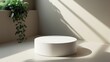 © StockSavvy - Minimalist Product Display with Soft Sunlight and Greenery