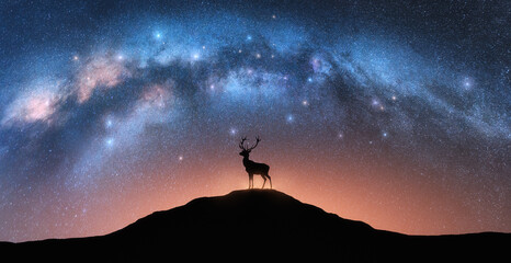 Wall Mural - silhouette of a majestic deer standing on a hill under a breathtaking view of the milky way galaxy a