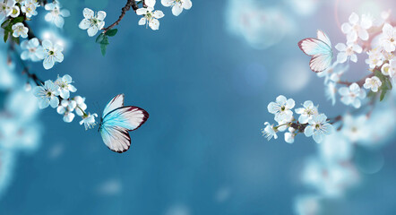 Wall Mural - blossom tree over nature background with butterfly. spring flowers. spring background.