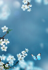 Wall Mural - blossom tree over nature background with butterfly. spring flowers. spring background.